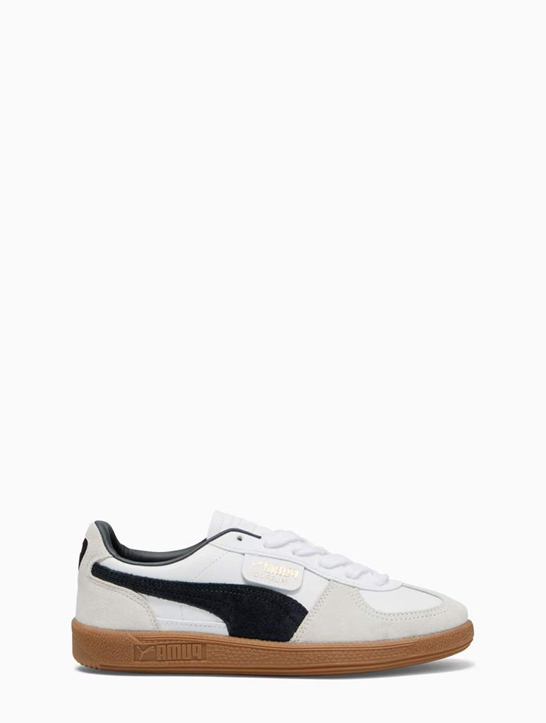 397647-01_PUMA-1