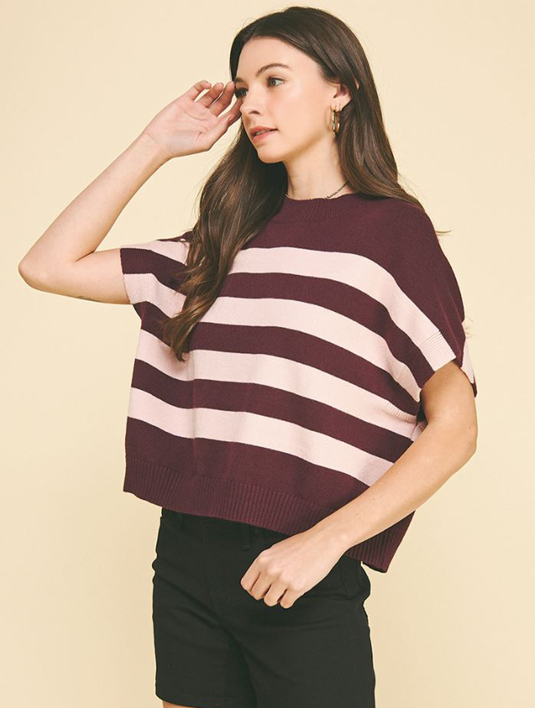 Stripe Sweater Vest