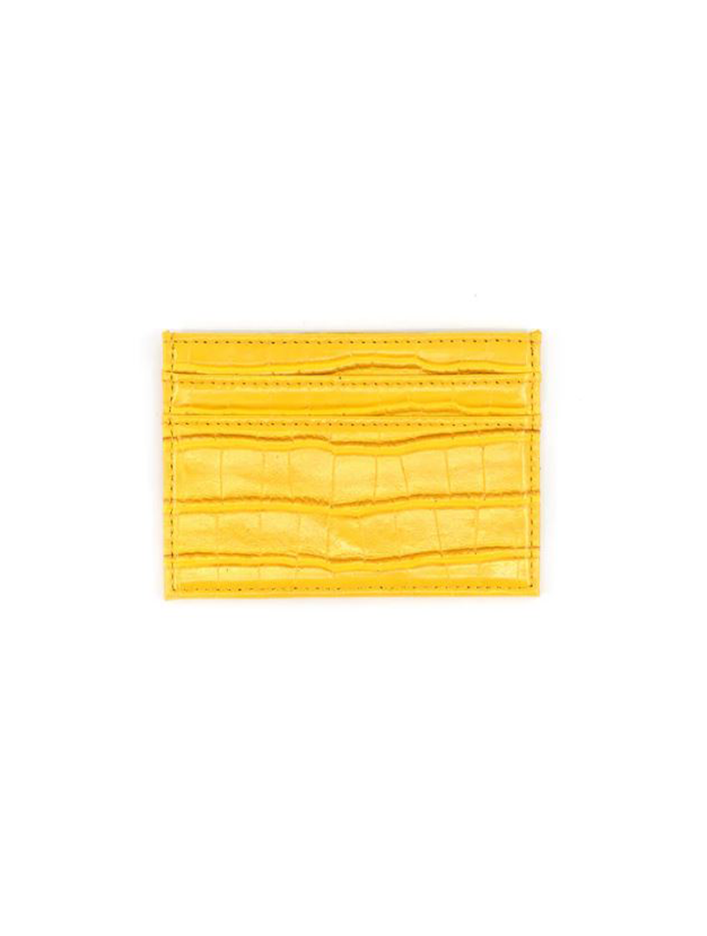 Credit Card Holder