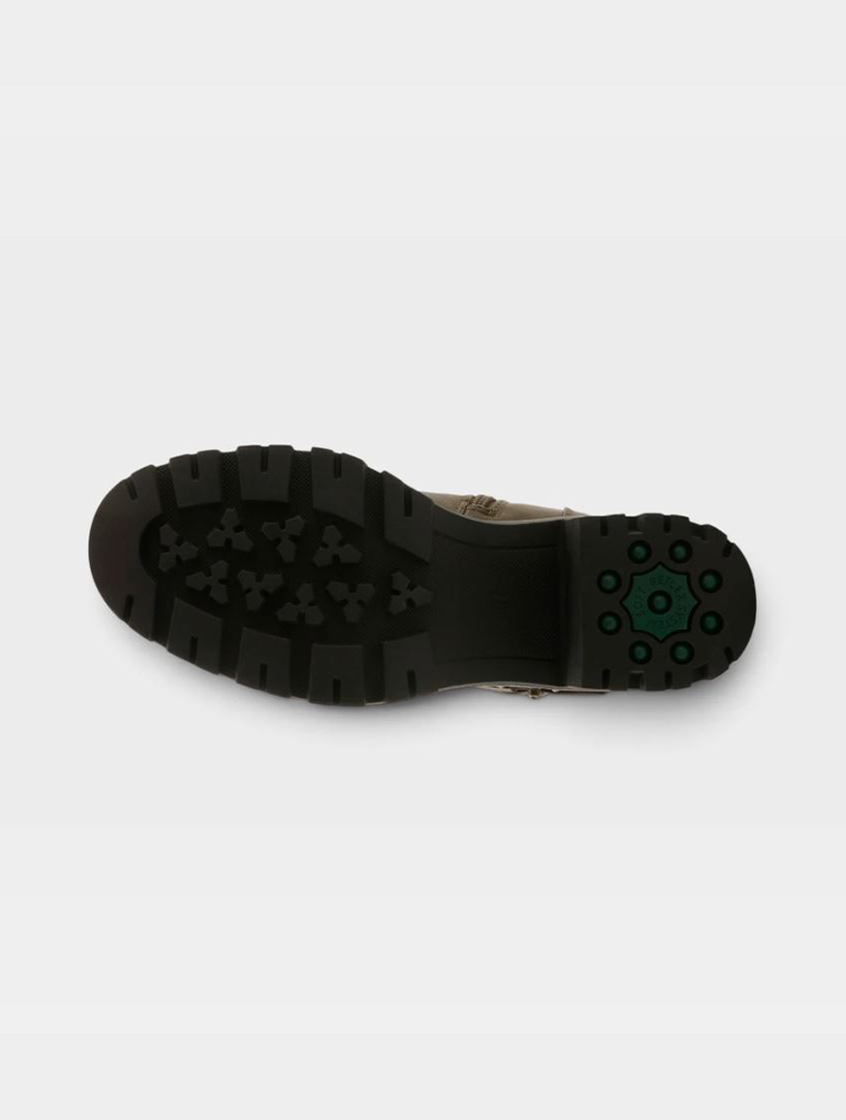 BEARTRAK-DOL_SPRINGSTEP-5