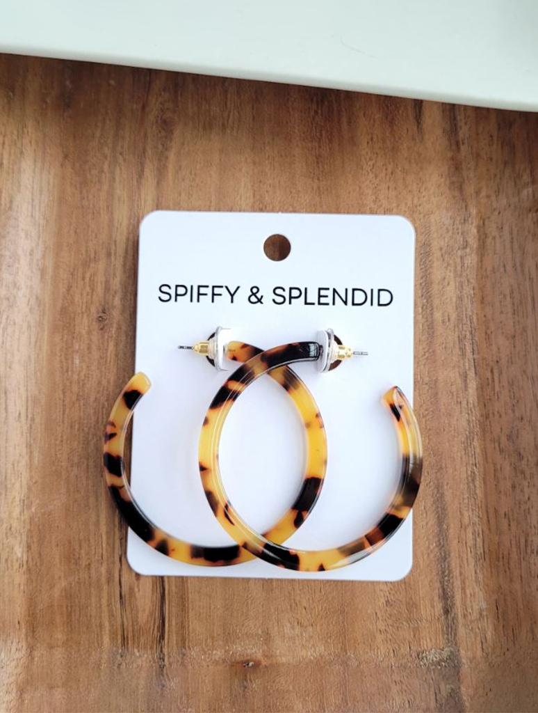 CAME0114_SPIFFYSPLENDID-1