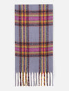 Vibrant Colorful Plaid Scarf