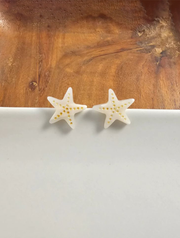 Starfish Stud Earrings
