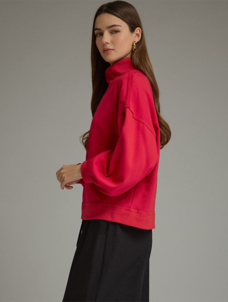 T31959-RED_ENTRO-2