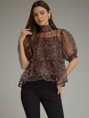 T34003-ANI_ENTRO-1