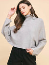 Turtleneck Raglan Sleeve Sweater with Button Detail