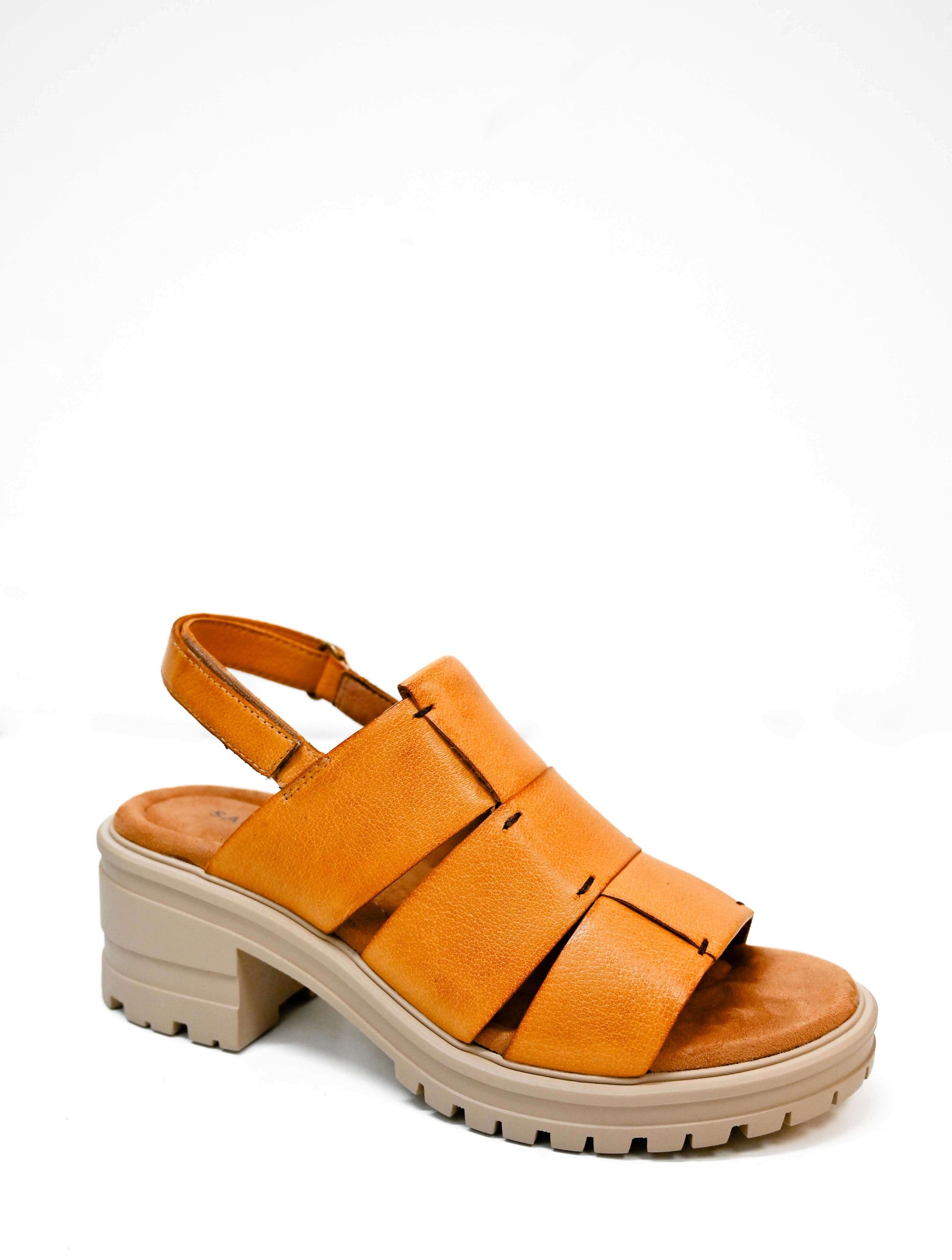 Salvia Harley Sandal
